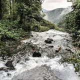 Edakkanam Waterfall Kasaragod 